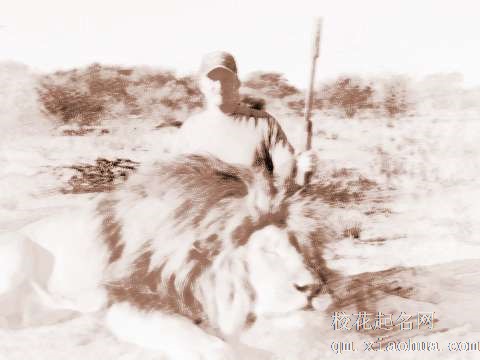 梦见狮子被杀　周公解梦之梦到狮子被杀