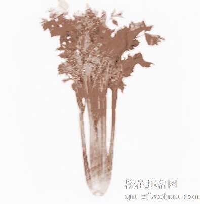 梦见西芹、芹菜　周公解梦之梦到西芹、芹菜