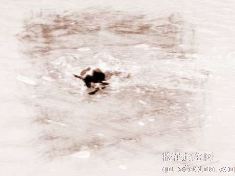 梦见小狗落水　周公解梦之梦到小狗落水