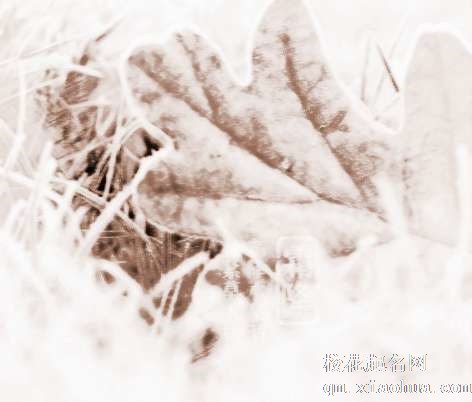梦见下霜降　周公解梦之梦到下霜降