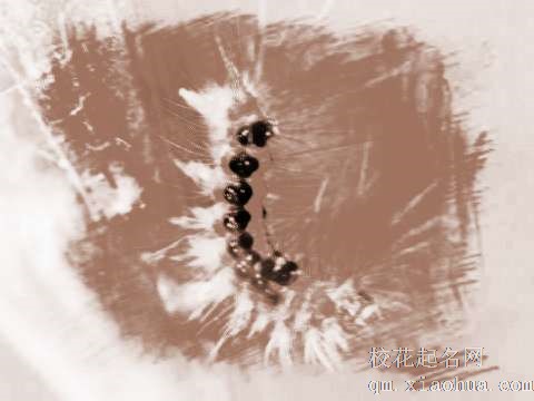 梦见彩色的虫子　周公解梦之梦到彩色的虫子