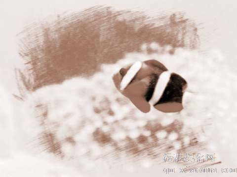 梦见虫子吃鱼　周公解梦之梦到虫子吃鱼