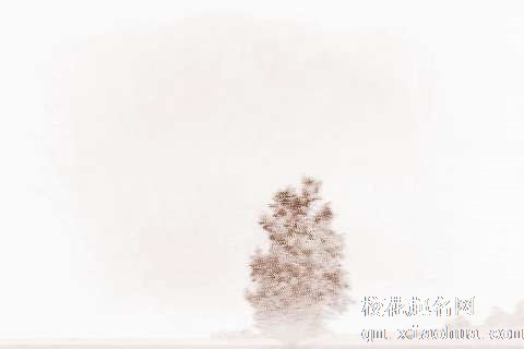 梦见树高了　周公解梦之梦到树高了