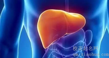 梦见肝脏周公解梦，梦见肝脏是什么意思？