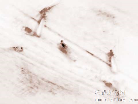 梦见白蚁咬人　周公解梦之梦到白蚁咬人