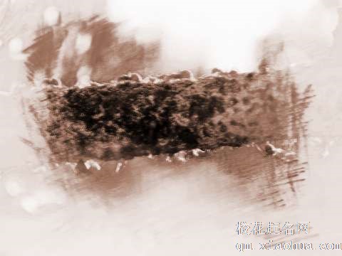 梦见蚂蚁上树　周公解梦之梦到蚂蚁上树