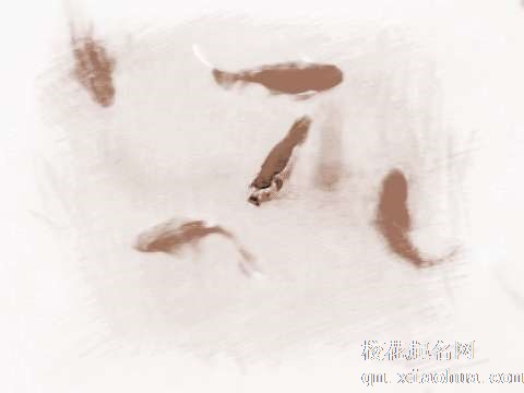 梦见鲤鱼尾巴　周公解梦之梦到鲤鱼尾巴