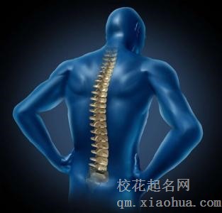 梦见脊椎 背脊 脊柱周公解梦，梦见脊椎 背脊 脊柱是什么意思？