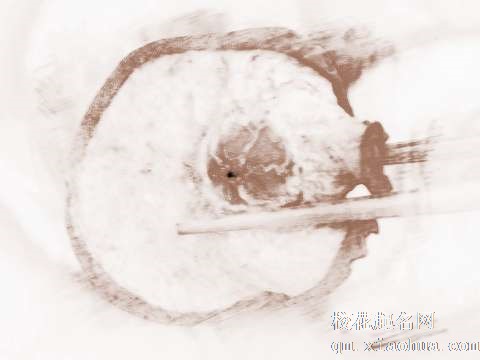 梦见雪梨变干　周公解梦之梦到雪梨变干
