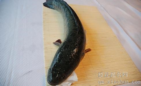 梦见活鱼周公解梦，梦见活鱼是什么意思？