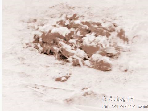 梦见一地死鸡　周公解梦之梦到一地死鸡