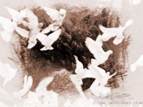 梦见鸽子飞起　周公解梦之梦到鸽子飞起