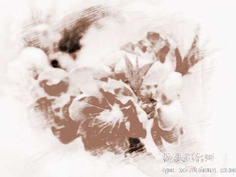 梦见红色桃花　周公解梦之梦到红色桃花