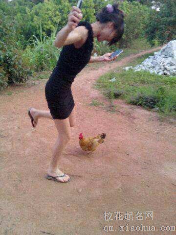 梦见鸡咬人周公解梦，梦见鸡咬人是什么意思？