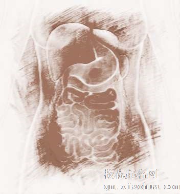 梦见肠和胃　周公解梦之梦到肠和胃