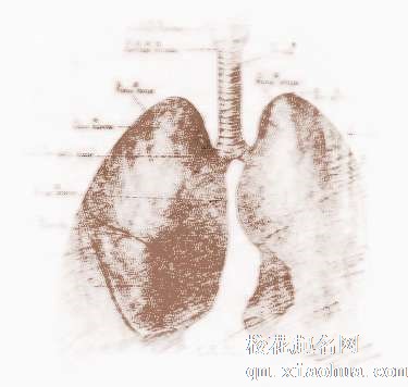 梦见肺部　周公解梦之梦到肺部