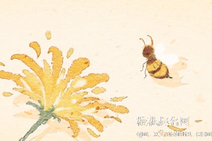 梦见自己打死蜜蜂是什么预兆