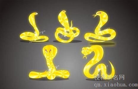 梦见金色的蟒蛇周公解梦，梦见金色的蟒蛇是什么意思？