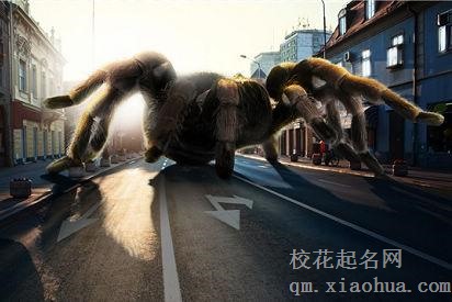 梦见巨大动物周公解梦，梦见巨大动物是什么意思？