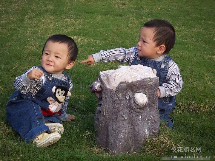 梦见孪生兄弟周公解梦，梦见孪生兄弟是什么意思？