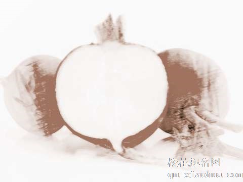 梦见紫色萝卜　周公解梦之梦到紫色萝卜