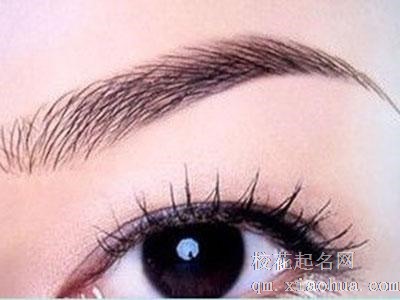 梦见眉毛生长周公解梦，梦见眉毛生长是什么意思？