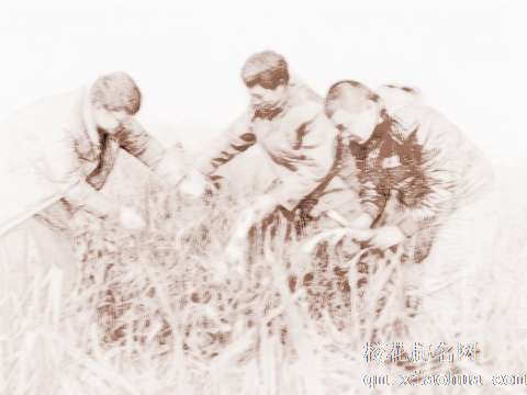 梦见拔大葱　周公解梦之梦到拔大葱