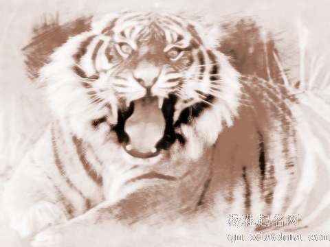 梦见老虎掉牙　周公解梦之梦到老虎掉牙