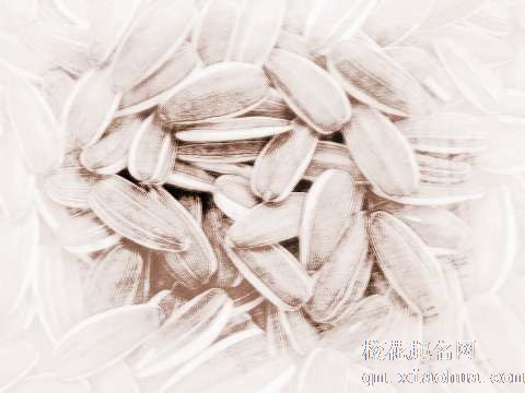 梦见一袋瓜子　周公解梦之梦到一袋瓜子