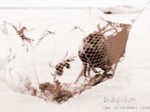 梦见捕捞螃蟹　周公解梦之梦到捕捞螃蟹