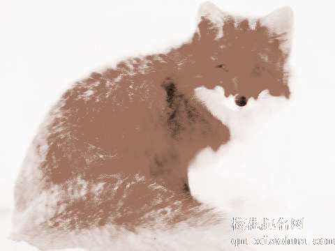 梦见狐狸皮毛　周公解梦之梦到狐狸皮毛