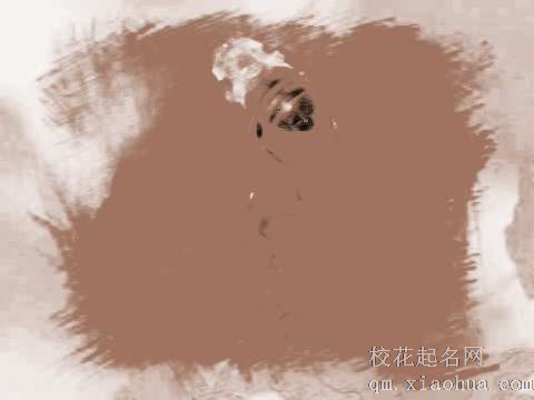 梦见蜜蜂掉翅膀　周公解梦之梦到蜜蜂掉翅膀