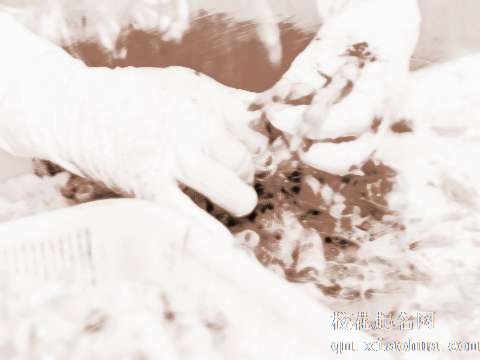 梦见剥虾肉　周公解梦之梦到剥虾肉