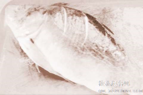 梦见鱼没有鳞　周公解梦之梦到鱼没有鳞