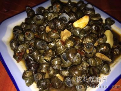 梦见螺狮周公解梦，梦见螺狮是什么意思？