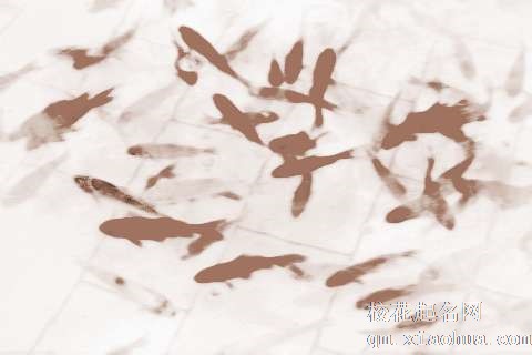 梦见小鱼游泳　周公解梦之梦到小鱼游泳