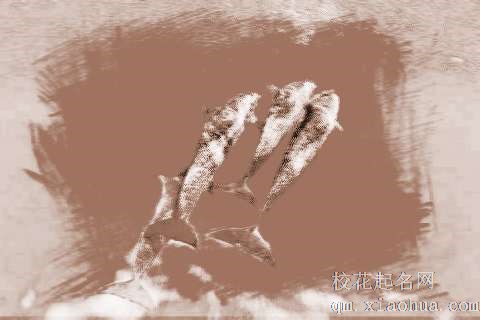 梦见一群鲨鱼　周公解梦之梦到一群鲨鱼