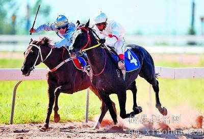 梦见赛马选手周公解梦，梦见赛马选手是什么意思？