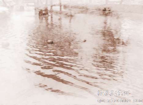 梦见大水和鱼　周公解梦之梦到大水和鱼