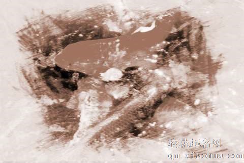 梦见黑色锦鲤　周公解梦之梦到黑色锦鲤