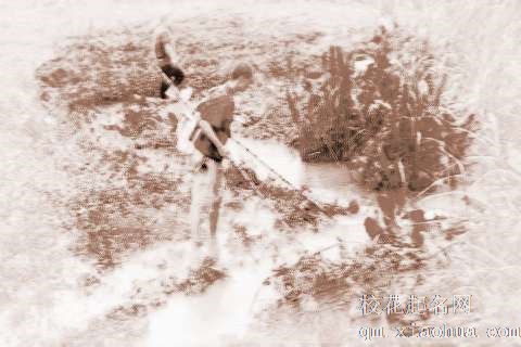 梦见田里捕鱼　周公解梦之梦到田里捕鱼