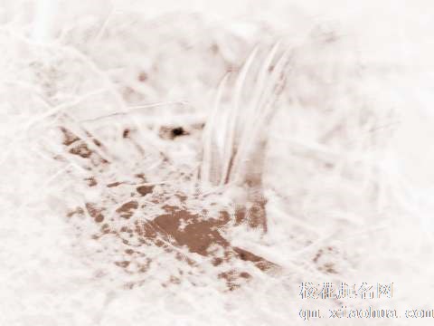 梦见竹笋冒起　周公解梦之梦到竹笋冒起