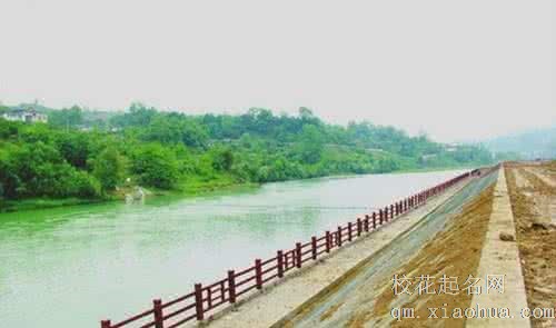 梦见河岸 河堤周公解梦，梦见河岸 河堤是什么意思？