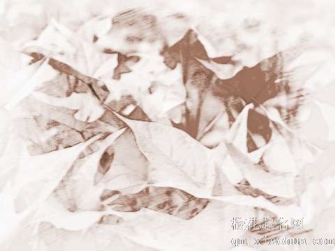 梦见地瓜叶子　周公解梦之梦到地瓜叶子