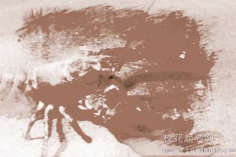 梦见龙虾吃鱼　周公解梦之梦到龙虾吃鱼