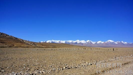 梦见荒野周公解梦，梦见荒野是什么意思？