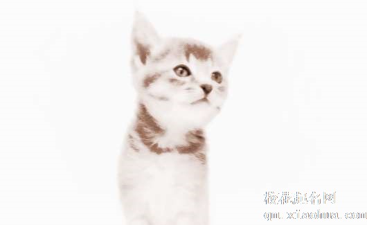 梦见猫被打死　周公解梦之梦到猫被打死