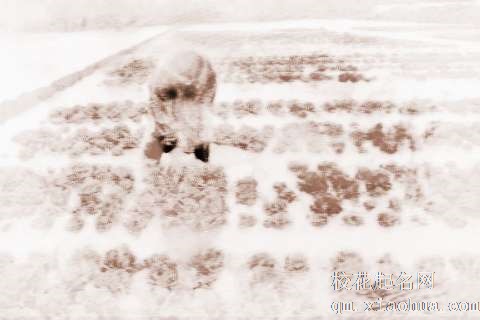 梦见田地被淹　周公解梦之梦到田地被淹