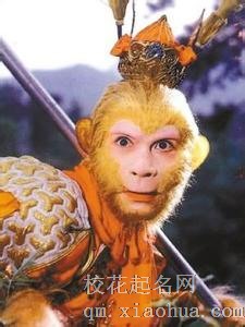 梦见孙悟空周公解梦，梦见孙悟空是什么意思？