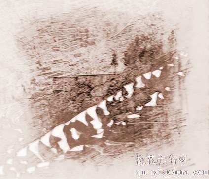 梦见阡陌　周公解梦之梦到阡陌